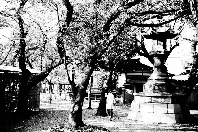 Santuario Yasukuni (靖国神社)