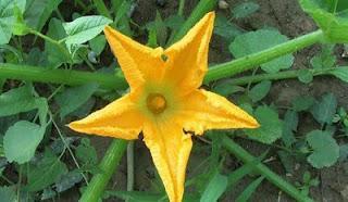 La prensa y las evidencias científicas.