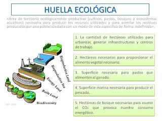 La Huella Ecológica