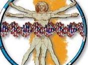 ¿Existen alimentos antiestrés?