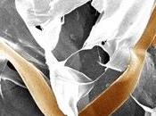 tejido cyborg capaz seguir actividad celular