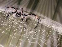 Creación Literaria...