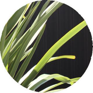 Un jardín moderno en una terraza