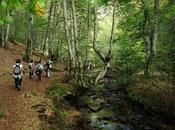 Cantabria, caballo entre España Verde Meseta Castellana