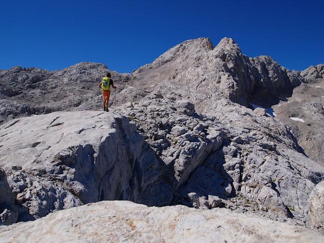 torre blanca