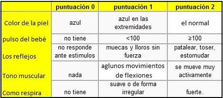 test-apgar test apgar1 EL TEST DE APGAR PARA RECIÉN NACIDOS.