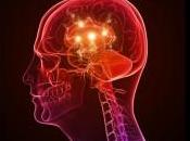 epilepsia puede derivar mayores anormalidades cerebro tiempo