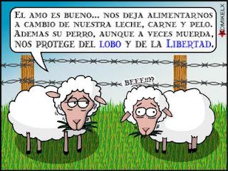 Unas ideas para reflexionar juntos