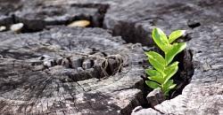 Dios segundas oportunidades