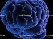 Guerra Generación esta aplicando Venezuela (III).