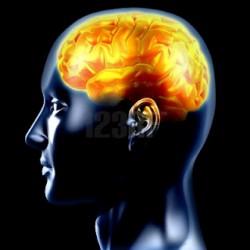 Infartos cerebrales silenciosos ligados a problemas en la memoria