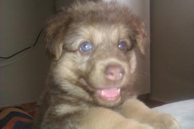 Asia, unos ojos que decidieron vivir en contra de la corriente para embelesarte.