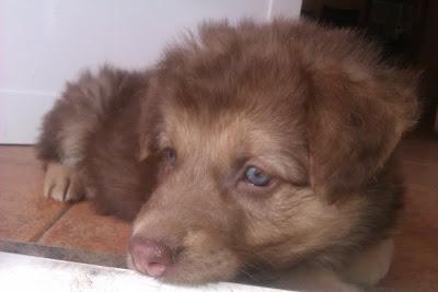 Asia, unos ojos que decidieron vivir en contra de la corriente para embelesarte.