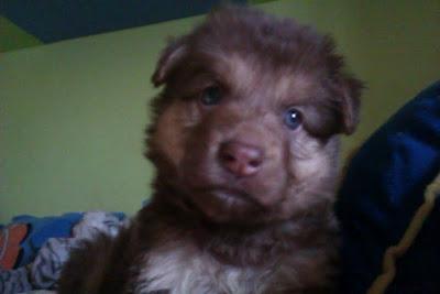 Asia, unos ojos que decidieron vivir en contra de la corriente para embelesarte.