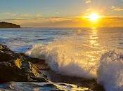 expresamos reflejo somos