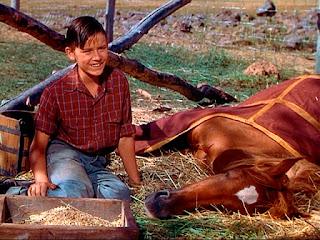 Cinemundi Estados Unidos: Ídolos de matinée