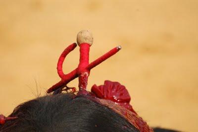 Los toros volvieron a Televisión en horario infantil