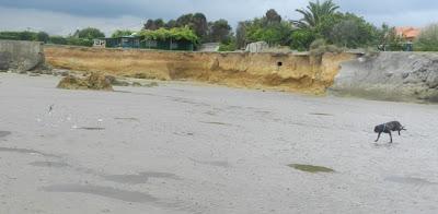 Unas jornadas para concienciar