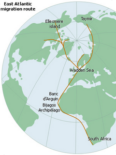 Unas jornadas para concienciar