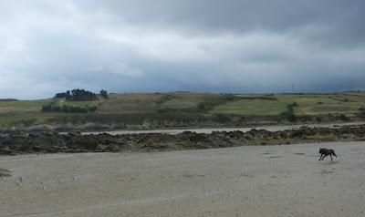 Unas jornadas para concienciar