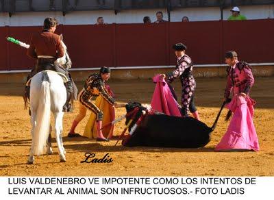 NOVILLADA EN PRIEGO: MANO A MANO DESCAFEINADO