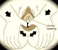 masaje-perineal Cómo realizar un masaje perineal