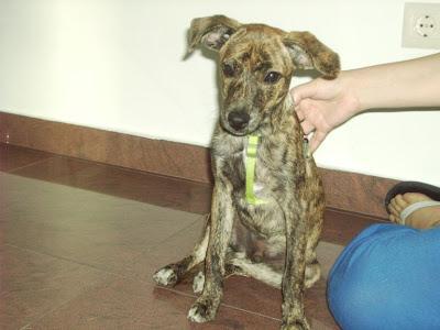 COLABORA SIENDO CASA DE ACOGIDA - TE NECESITAMOS - URGENTISIMO‏!!