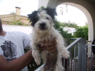 COLABORA SIENDO CASA DE ACOGIDA - TE NECESITAMOS - URGENTISIMO‏!!