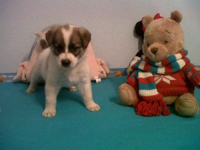 COLABORA SIENDO CASA DE ACOGIDA - TE NECESITAMOS - URGENTISIMO‏!!