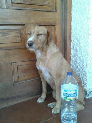 COLABORA SIENDO CASA DE ACOGIDA - TE NECESITAMOS - URGENTISIMO‏!!