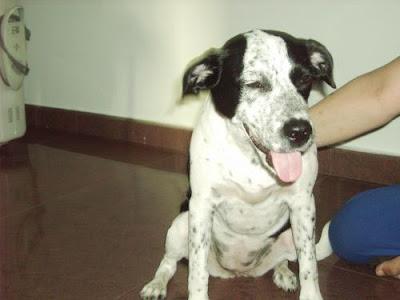 COLABORA SIENDO CASA DE ACOGIDA - TE NECESITAMOS - URGENTISIMO‏!!