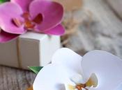 Diy: orquideas para decorar