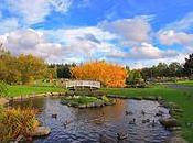 Mejor Semana [del Septiembre]