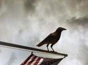 contienda Richard North Patterson