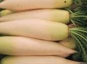 saludable daikon rábano japonés, propiedades depurativas para adelgazar