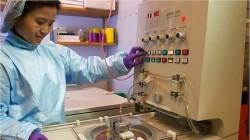 Terapia génica para el VIH