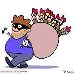 Un ladrón de pollos Un ladrón de pollos