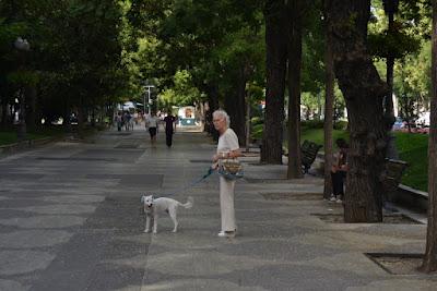 La fashion week está en la calle