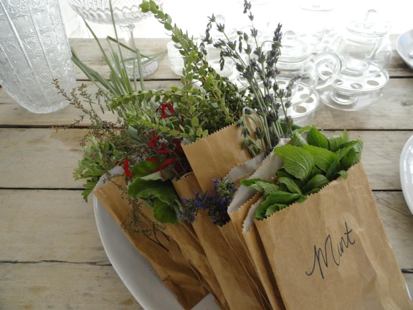 LIMÓN & PISCINA FIN DE TEMPORADA