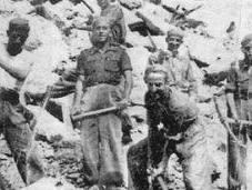 Tras montes quemados ¿Obligarán desempleados limpiar Valle Caídos?