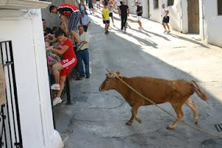 EL TORO DE CUERDA DEL CASTILLO EN IMÁGENES