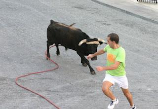EL TORO DE CUERDA DEL CASTILLO EN IMÁGENES