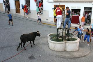 EL TORO DE CUERDA DEL CASTILLO EN IMÁGENES