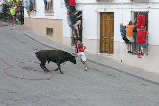 EL TORO DE CUERDA DEL CASTILLO EN IMÁGENES