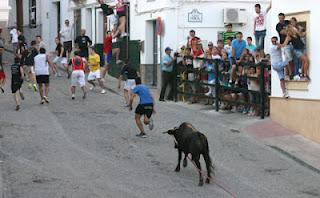 EL TORO DE CUERDA DEL CASTILLO EN IMÁGENES