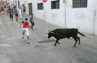 EL TORO DE CUERDA DEL CASTILLO EN IMÁGENES