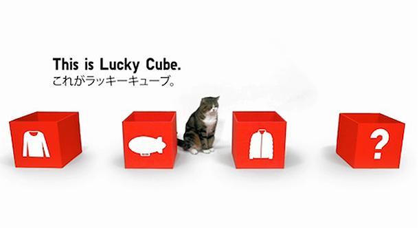 Uniqlo lanza una promo online con uno de los gatos más famosos de la red