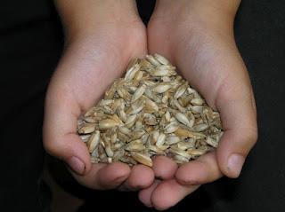 COJINES PARA MEDITAR