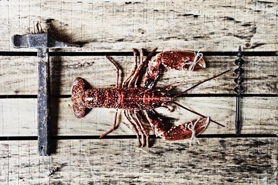 premio IPA gastronomia