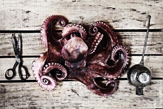 gastronomia de mariscos pulpo